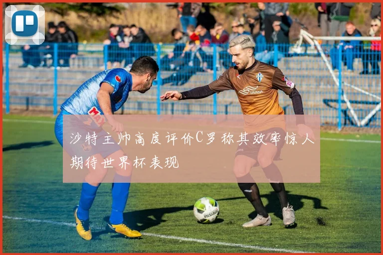 沙特主帅高度评价C罗称其效率惊人期待世界杯表现