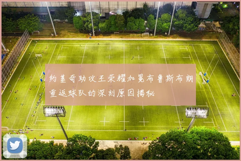 约基奇助攻王荣耀加冕布鲁斯布朗重返球队的深刻原因揭秘