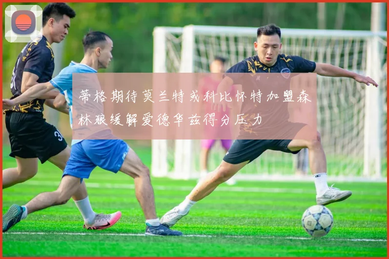 蒂格期待莫兰特或科比怀特加盟森林狼缓解爱德华兹得分压力