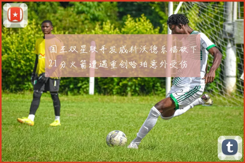 国王双星联手发威科沃德乐福砍下21分火箭遭遇重创哈珀意外受伤