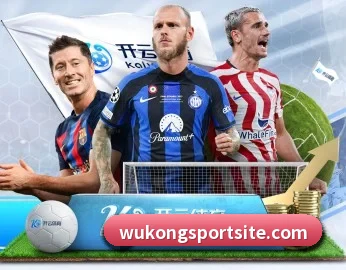 平台简介 - 体育资讯内容服务 - WukongSports