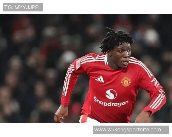 英超两强盯上邓弗里斯解约金高达2500万欧元 英超两强盯上邓弗里斯解约金高达2500万欧元